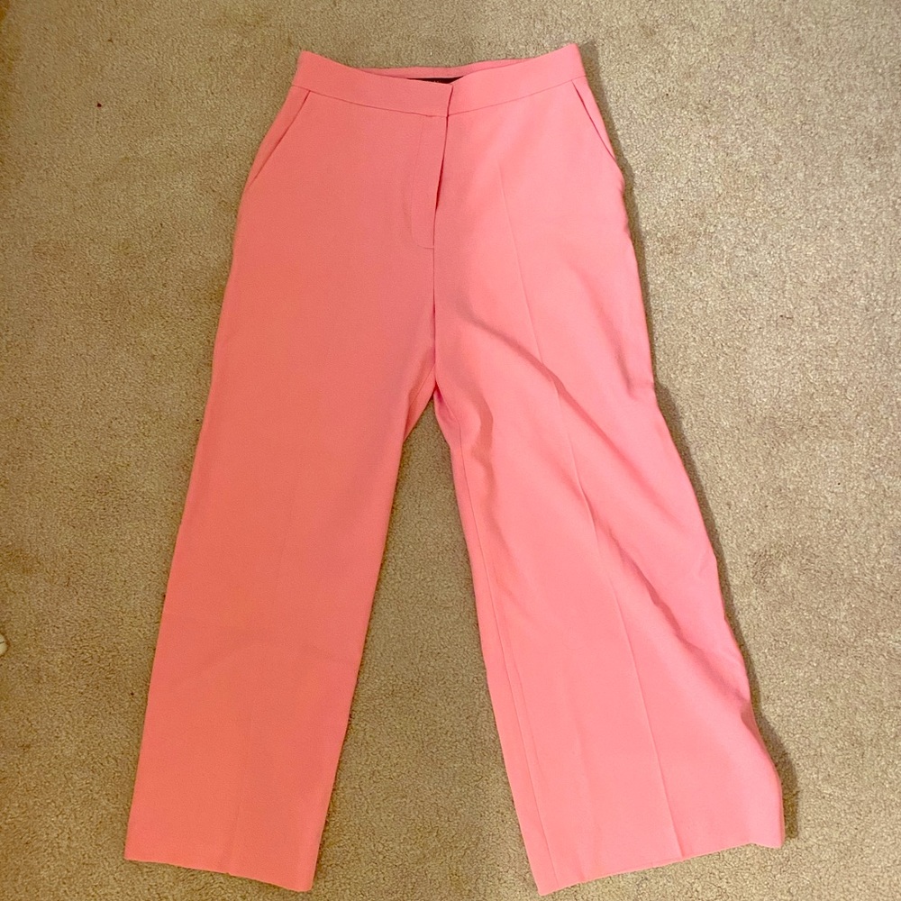 Never Worn Zara Pants